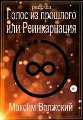 Максим Волжский - Голос из прошлого или Реинкарнация