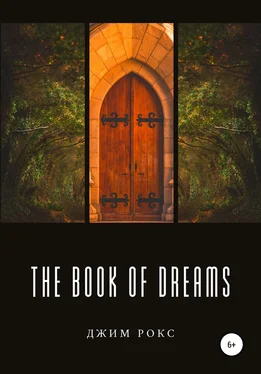 Джим Рокс The book of dreams обложка книги