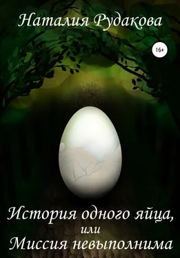 Наталия Рудакова История одного яйца, или Миссия невыполнима обложка книги