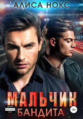 Алиса Нокс - Мальчик бандита