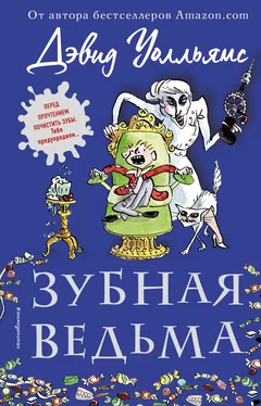 Дэвид Уолльямс Зубная ведьма обложка книги