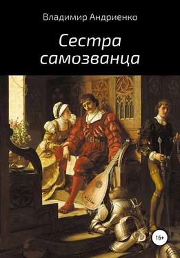 Владимир Андриенко Сестра самозванца обложка книги