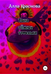 Алла Краснова - Тайна темной туфельки