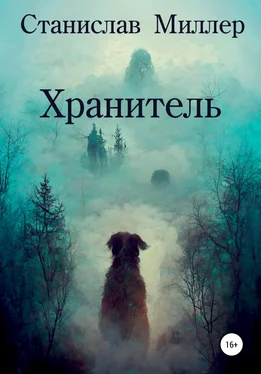 Станислав Миллер Хранитель обложка книги