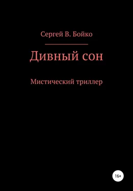 Сергей Бойко Дивный сон обложка книги
