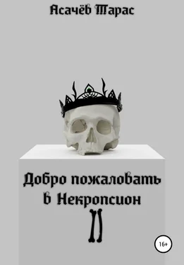 Тарас Асачёв Добро пожаловать в Некропсион II обложка книги