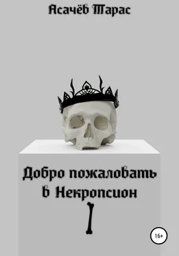 Тарас Асачёв Добро пожаловать в Некропсион I обложка книги
