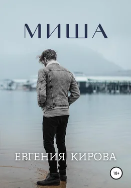Евгения Кирова Миша обложка книги