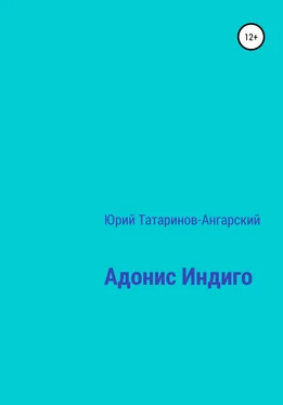 Юрий Татаринов-Ангарский Адонис Индиго обложка книги