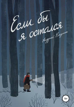 Андрей Косулин Если бы я остался обложка книги