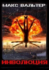 Макс Вальтер - Инволюция