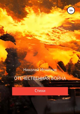 Николай Игнатков Отечественная война обложка книги