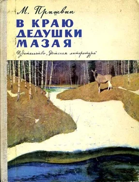 Михаил Пришвин В краю дедушки Мазая обложка книги