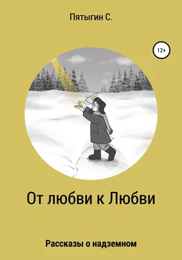 Сергей Пятыгин От любви к Любви обложка книги