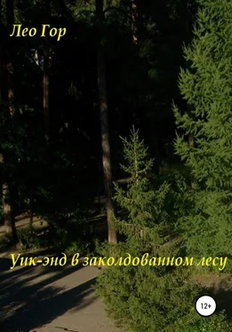 Лео Гор Уик-энд в заколдованном лесу обложка книги