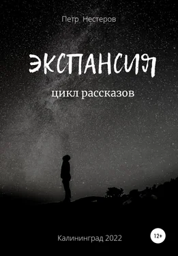 Петр Нестеров Экспансия обложка книги