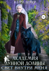 Керри Лемер - Академия Лунной долины. Свет внутри меня