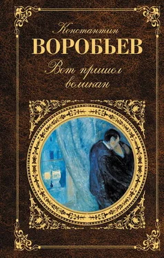 Константин Воробьев ...И всему роду твоему обложка книги