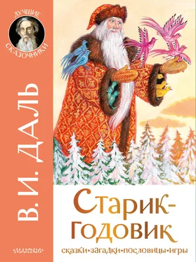 Владимир Даль Старик-годовик. Сказки. Загадки. Пословицы. Игры обложка книги