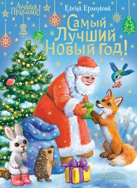 Елена Ермолова Самый лучший Новый год! обложка книги