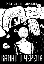 Евгений Саржин - Камни и черепа