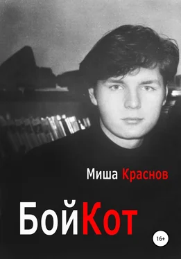 Миша Краснов Бойкот обложка книги