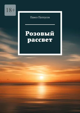 Павел Патлусов Розовый рассвет обложка книги