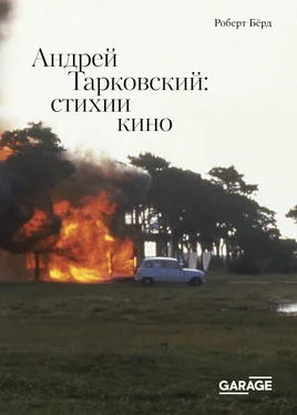 Роберт Бёрд Андрей Тарковский. Стихии кино обложка книги