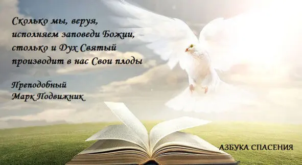Святитель Игнатий Брянчанинов Заповеди Господа дух суть и живот суть Инок - фото 14