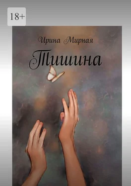 Ирина Мирная Тишина обложка книги