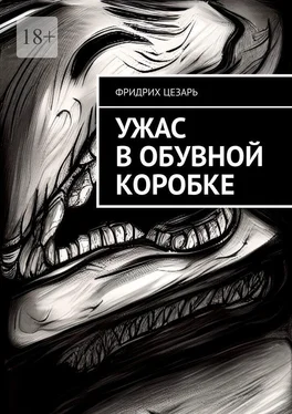 Фридрих Цезарь Ужас в обувной коробке обложка книги