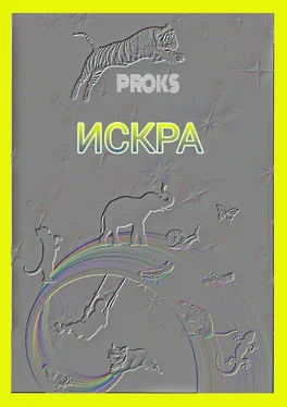 Proks Искра обложка книги