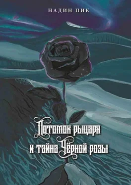 Надин Пик Потомок рыцаря и тайна Чёрной розы обложка книги