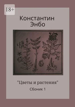 Константин Энбо Цветы и растения. Сборник 1 обложка книги