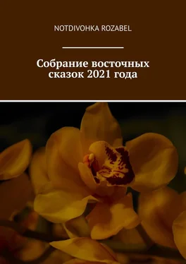 Notdivohka Rozabel Собрание восточных сказок 2021 года обложка книги