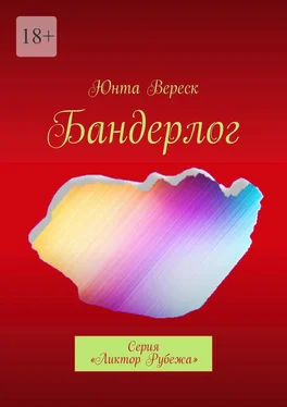 Юнта Вереск Бандерлог. Серия «Ликтор Рубежа» обложка книги