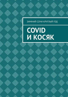 Зимний Сочи круглый год Covid и Косяк обложка книги