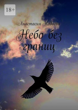 Анастасия Кодоева Небо без границ обложка книги