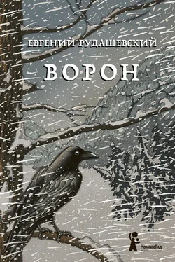 Евгений Рудашевский Ворон обложка книги