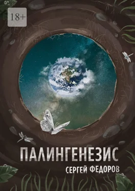 Сергей Федоров Палингенезис обложка книги