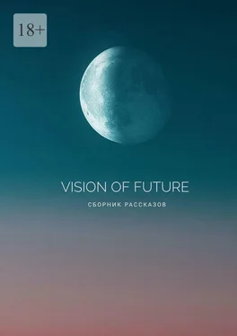 Irina Romanist Vision of Future обложка книги