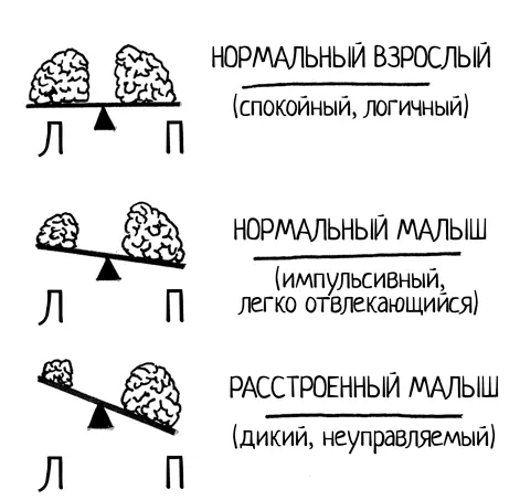 Вам не нужно быть специалистомнейробиологом но знание некоторых научных - фото 6