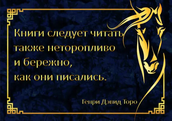 Я не собирался преподносить это произведение как популярную литературу потому - фото 2