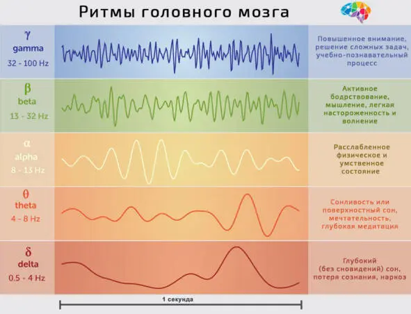 Начнем по порядку Гаммаволныв диапазоне частот 38 70 Гц в некоторых - фото 49