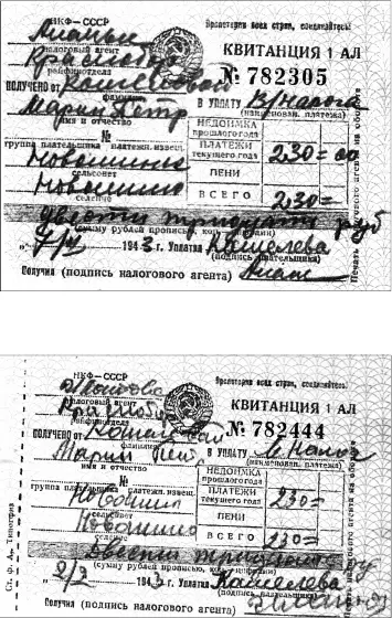Малая Родина - фото 100