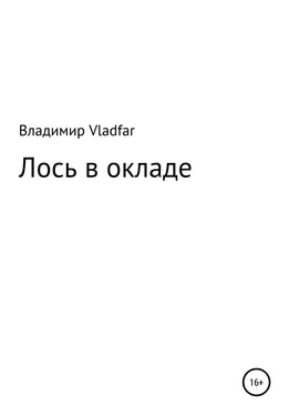 Владимир Vladfar Лось в окладе обложка книги