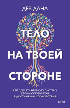 Деб Дана Тело на твоей стороне. Как сделать нервную систему своим союзником в достижении спокойствия