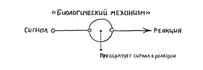 Судите сами Если всё что влияет на наши поступки внешняя среда или состояние - фото 3