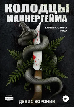 Денис Воронин Колодцы Маннергейма обложка книги