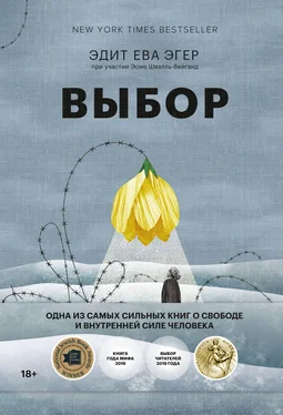 Эдит Ева Эгер Выбор. О свободе и внутренней силе человека обложка книги